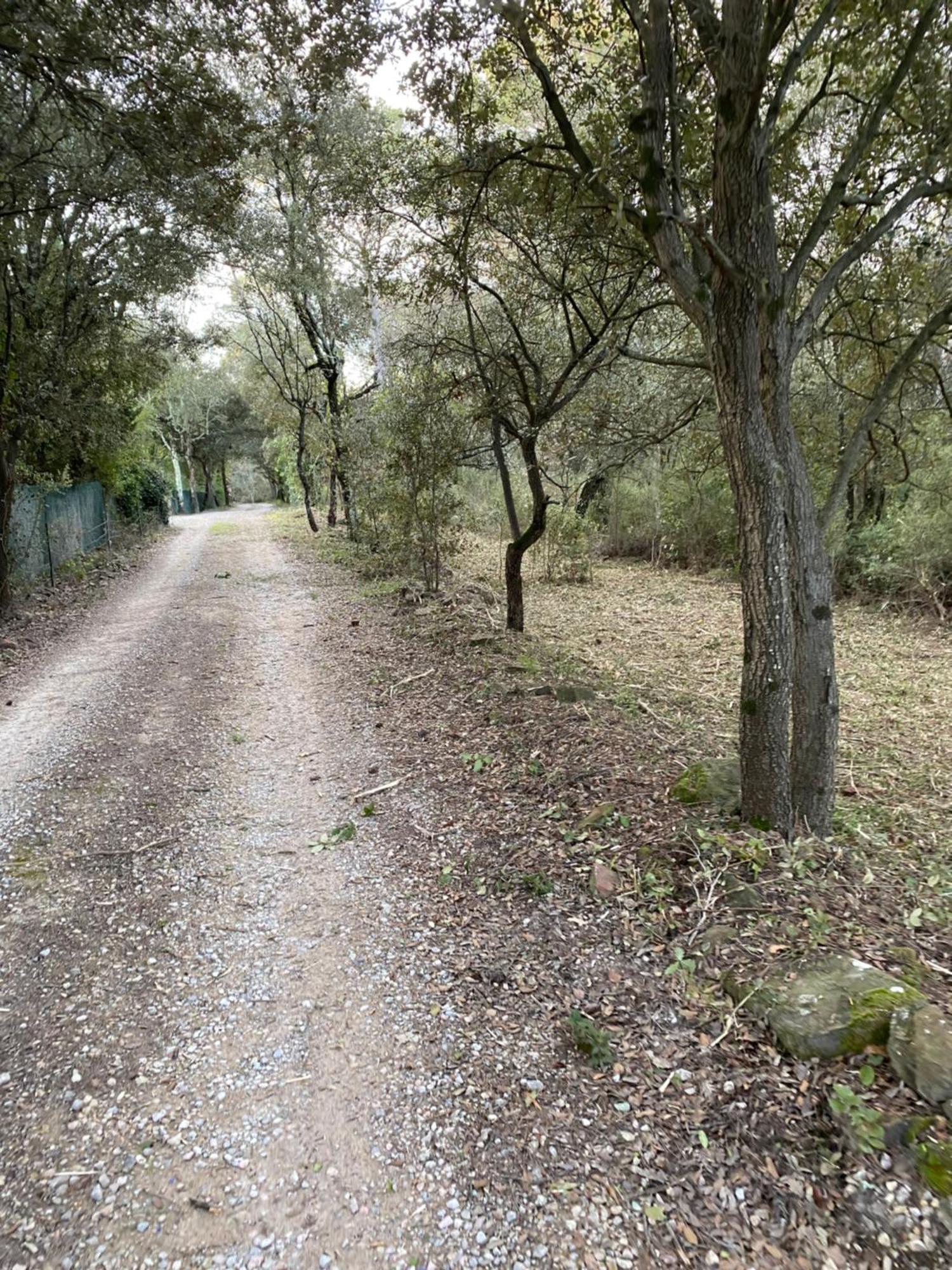 La Villa Le Cannet-des-Maures Exteriér fotografie